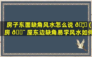 房子东面缺角风水怎么说 🦍 (房 🐯 屋东边缺角易学风水如何解)